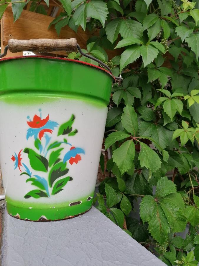 Menta Apartman Mezőkövesd Exteriör bild