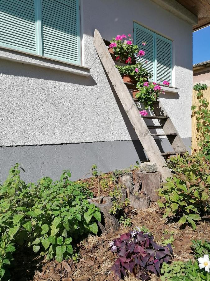 Menta Apartman Mezőkövesd Exteriör bild